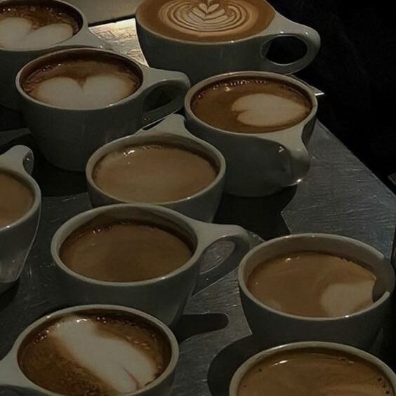 Training "Barista Skills: Professional"